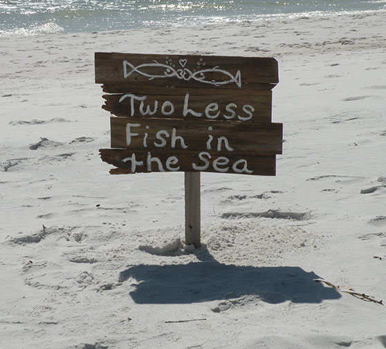 Image of wedding sign that read: Two Less Fish in the Sea - Marry Me In Destin
